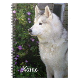 Siberian husky Puppy Hund Anteckningsbok