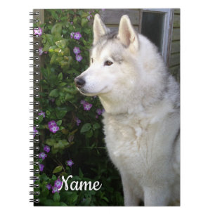 Siberian husky Puppy Hund Anteckningsbok