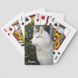 Siberian husky Puppy Hund Casinokort