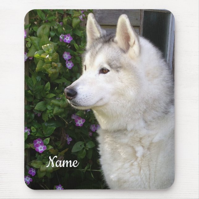 Siberian husky Puppy Hund Musmatta (Framsidan)