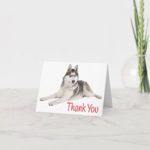 Siberian husky Puppy Hund Red Tack - blank Kort