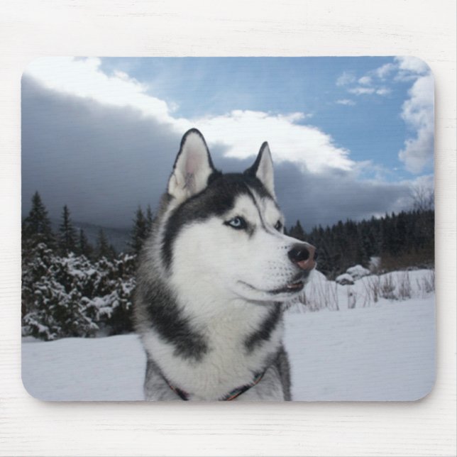 Siberian husky Puppy Hund Winter Snö-musknapp Musmatta (Framsidan)