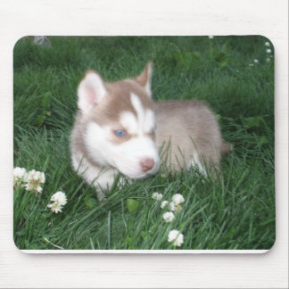 Siberian husky Puppy Mousepad Musmatta