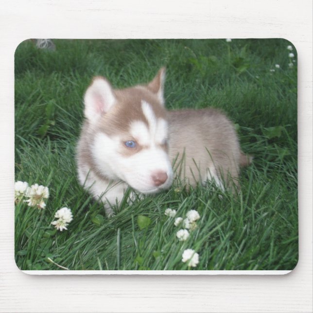 Siberian husky Puppy Mousepad Musmatta (Framsidan)