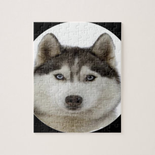 "Siberian husky ", Pussel