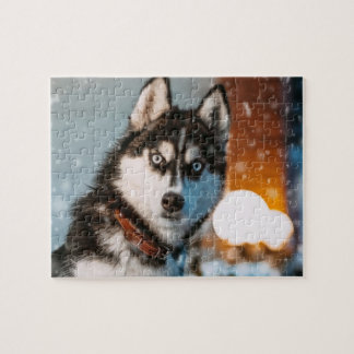 Siberian husky pussel