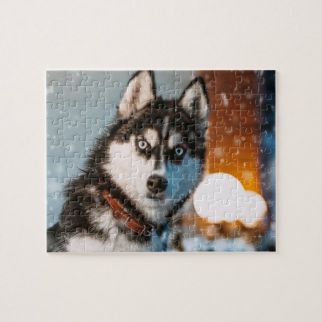 Siberian husky pussel (Horisontell)