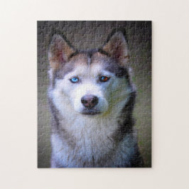 Siberian Husky Pussel. Pussel