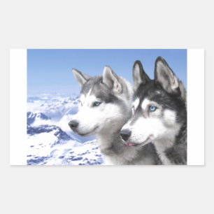 Siberian husky rektangulärt klistermärke