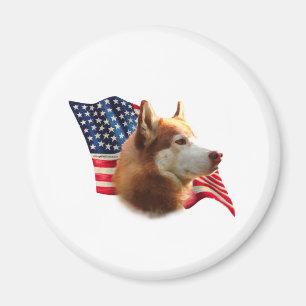 Siberian husky (röd) Flagga Magnet