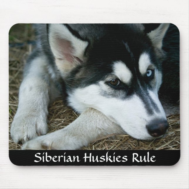 Siberian husky Rule Mousepad Musmatta (Framsidan)