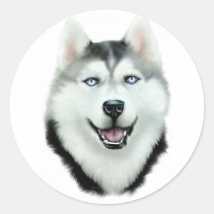 Siberian husky runt klistermärke