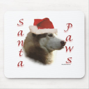 Siberian husky Santa Tassar Musmatta