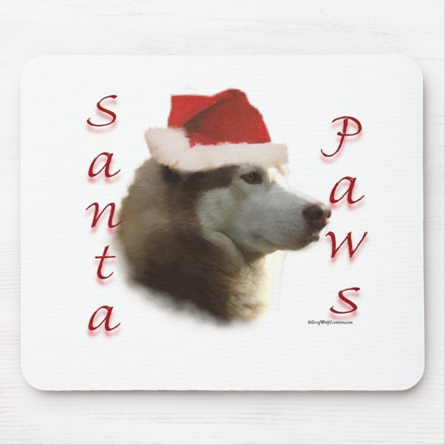 Siberian husky Santa Tassar Musmatta (Framsidan)