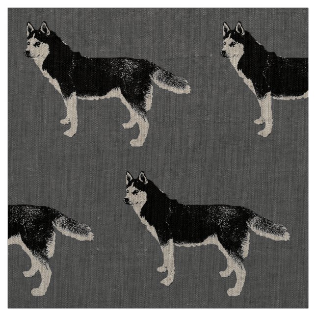 Siberian Husky schwarz weiß stehend Muster Tyg (Provkarta)