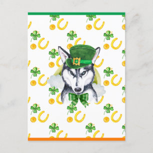 Siberian Husky Shamrock St. Patricks Day Helg Vykort