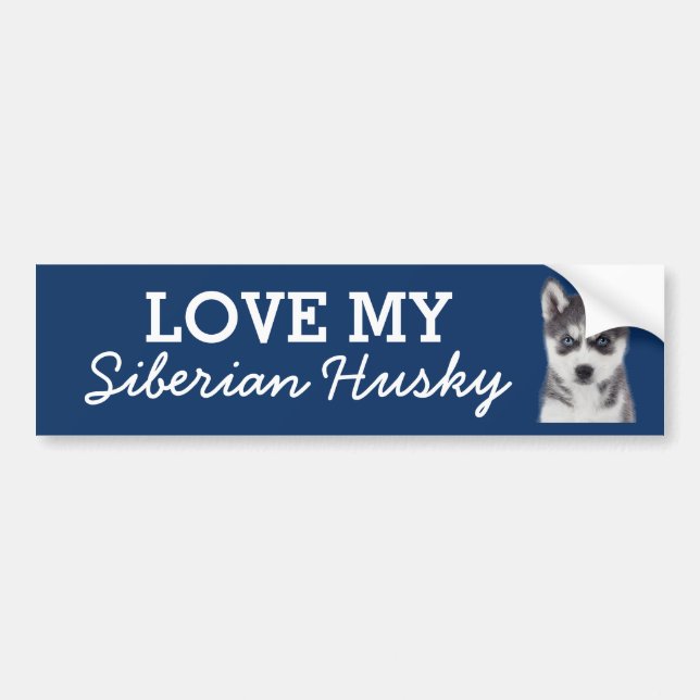 Siberian husky-stötfångare bildekal (Framsidan)