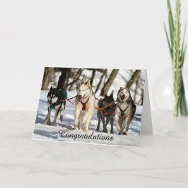 Siberian husky Studenten-kort Kort