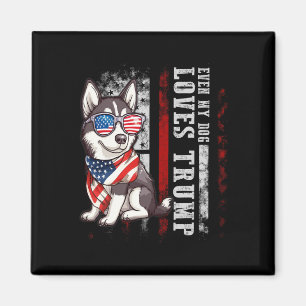 Siberian Husky Till och med min hund älskar Trump Magnet