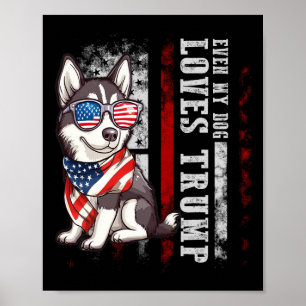 Siberian Husky Till och med min hund älskar Trump  Poster