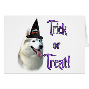 Siberian husky Trick Hälsningskort