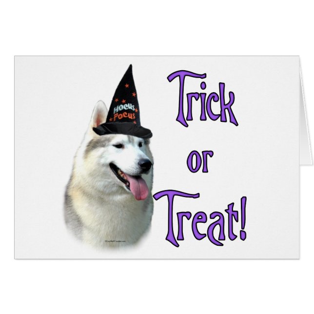 Siberian husky Trick Hälsningskort (Framsidan Horizontal)