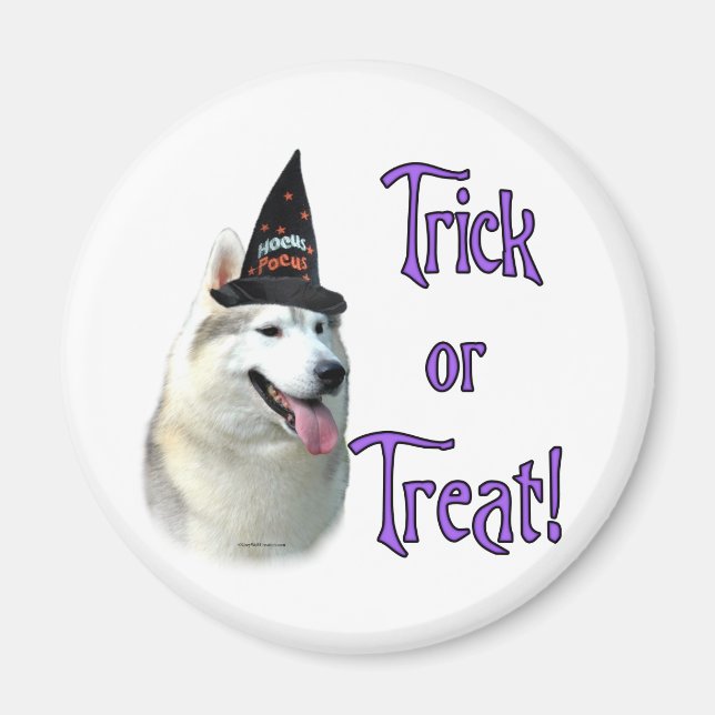 Siberian husky Trick Magnet (Framsidan)