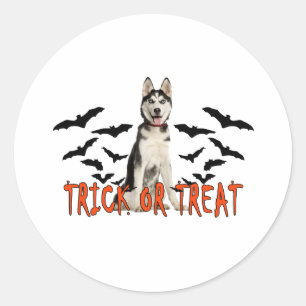 Siberian husky Trick T Shirts.png Runt Klistermärke