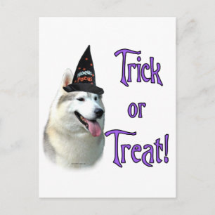 Siberian husky Trick Vykort