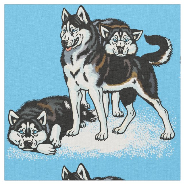 siberian husky tyg (Närbild)