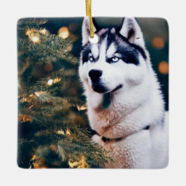 Siberian husky under Julgran Julgransprydnad Keramik