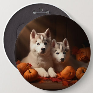 Siberian Husky Valp Höstglädje Pumpa Knapp