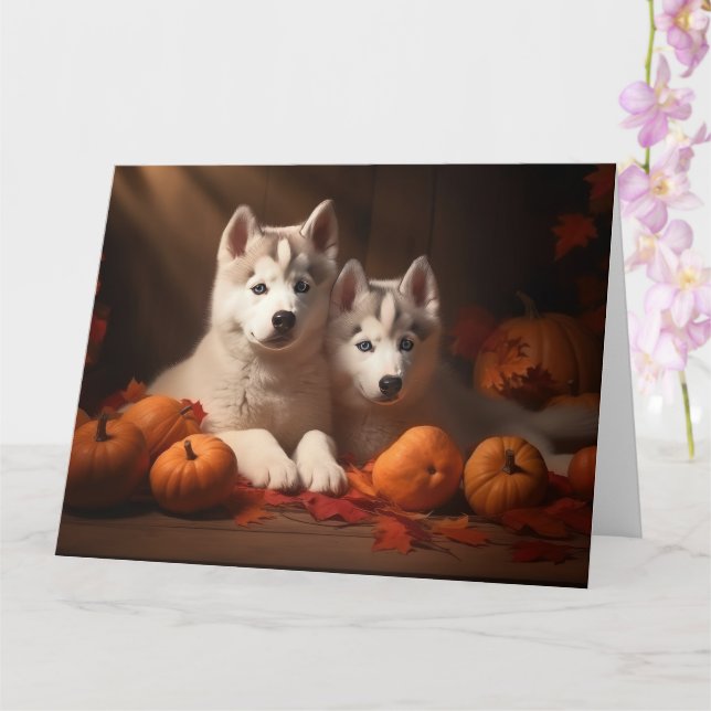 Siberian Husky Valp Höstglädje Pumpa  Kort (Orkide)