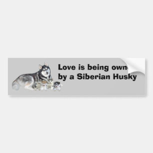 Siberian husky- & valpbildekal bildekal