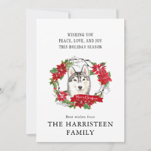 Siberian husky Vattenskärtröd Poinsettia Utandning Julkort