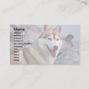 Siberian husky visitkort
