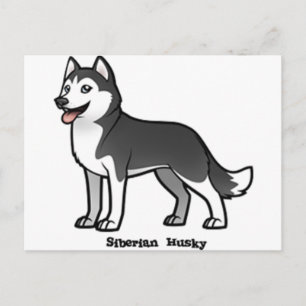 Siberian husky vykort