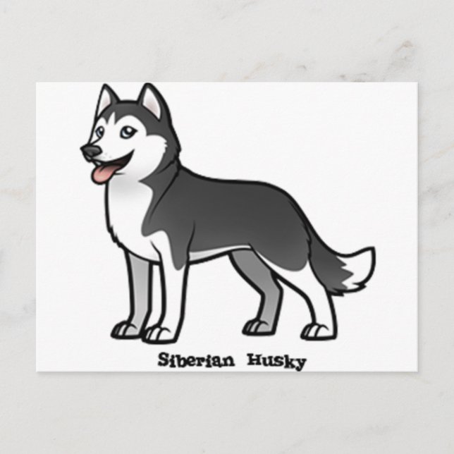 Siberian husky vykort (Framsida)