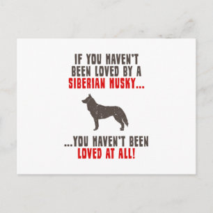 Siberian husky vykort
