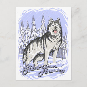 Siberian husky vykort