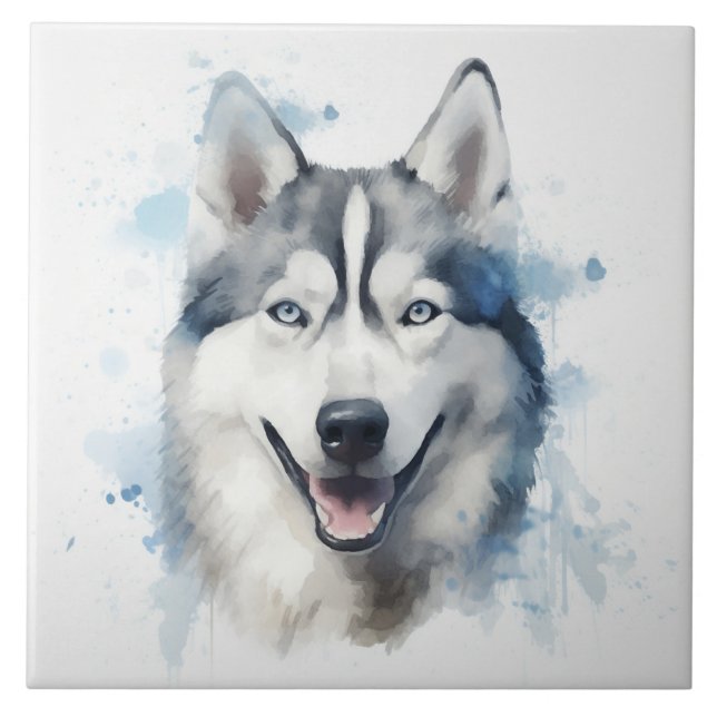 Siberian husky Watercolor Kakelplatta (Framsidan)