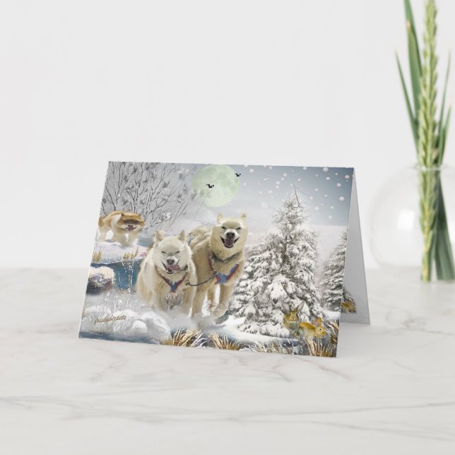 Siberian husky Winter Scene Helgkort (Framsida)