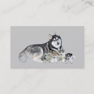 Siberian huskyavelsdjurvisitkort visitkort