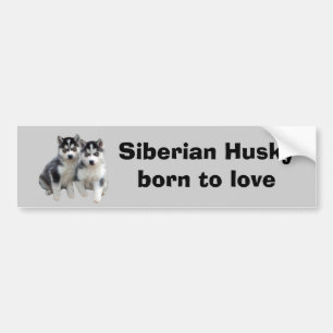 Siberian huskybildekal bildekal
