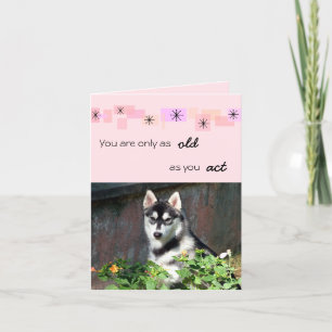 Siberian huskyfödelsedagkort kort