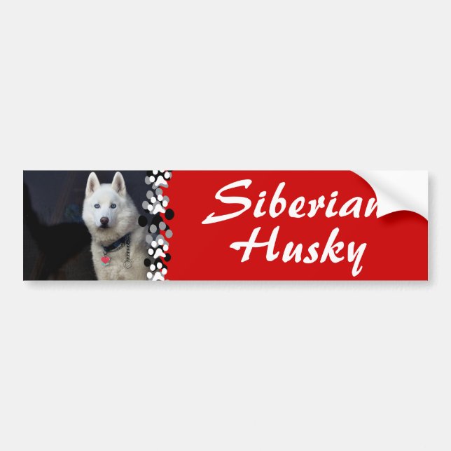Siberian huskyfoto bildekal (Framsidan)