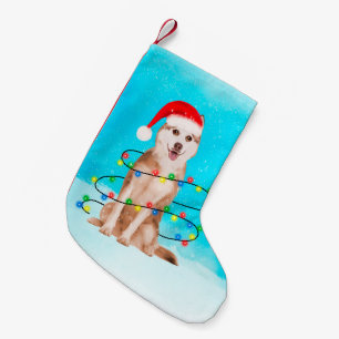 Siberian huskyhund i snö med Santa hattljus Liten Julstrumpa
