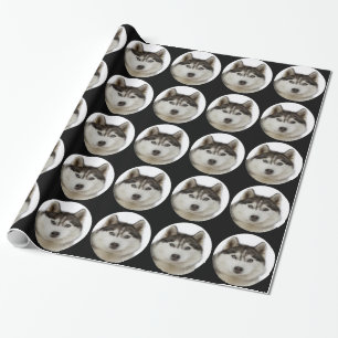 "Siberian huskyhund ", Presentpapper