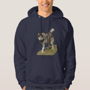 Siberian huskyhund sweatshirt med luva