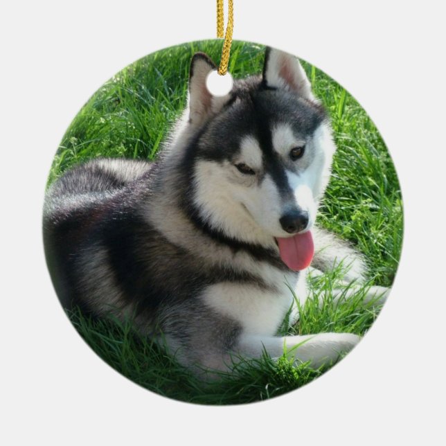 Siberian huskyhundprydnad julgransprydnad keramik (Framsidan)